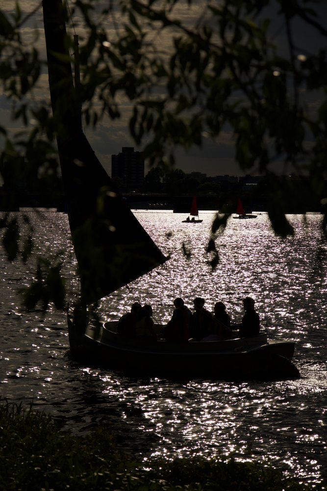 People silhouetted in a small boat against sparkling water and overhanging branches.