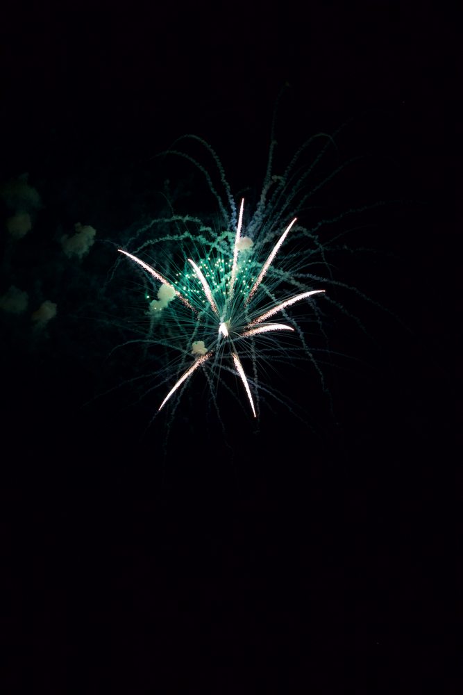 Green and white fireworks burst against a dark night sky.