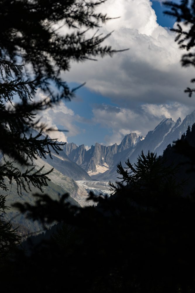 Dark conifer branches frame a glacier and jagged mountain peaks beneath large clouds.