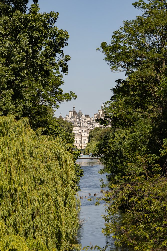 Trees framing a narrow view over water towards pale city buildings.