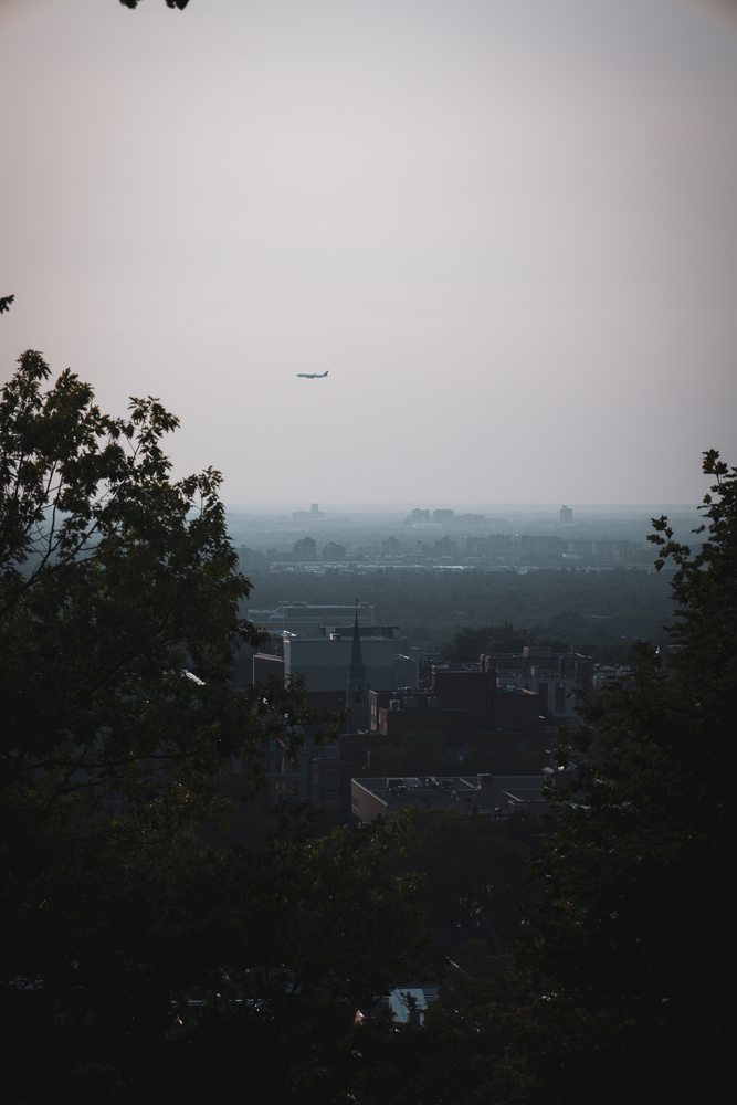 A small plane crosses a hazy sky above dark trees and city rooftops.