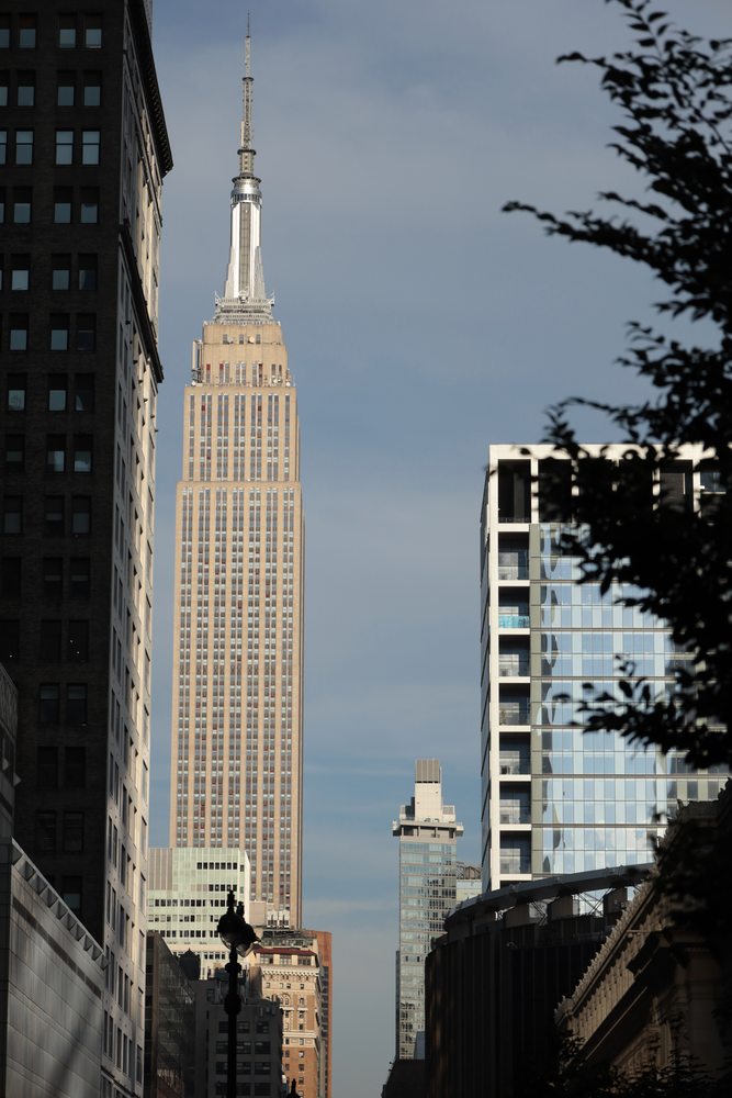 The Empire State Building framed by nearer buildings and tree branches.
