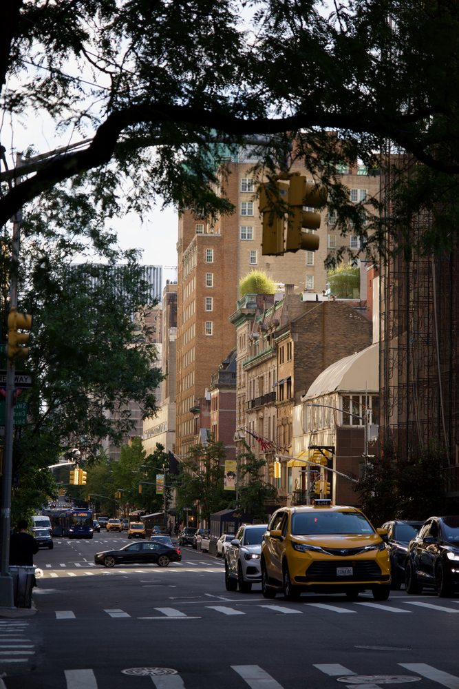 Tree branches frame a New York street with a yellow taxi and brick buildings.
