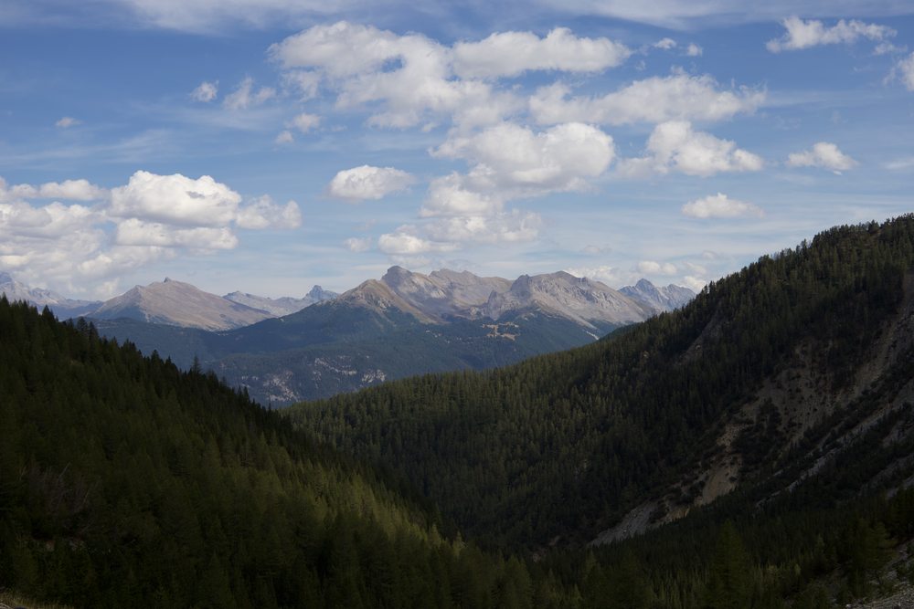 A forested valley opening towards distant mountains under scattered clouds.