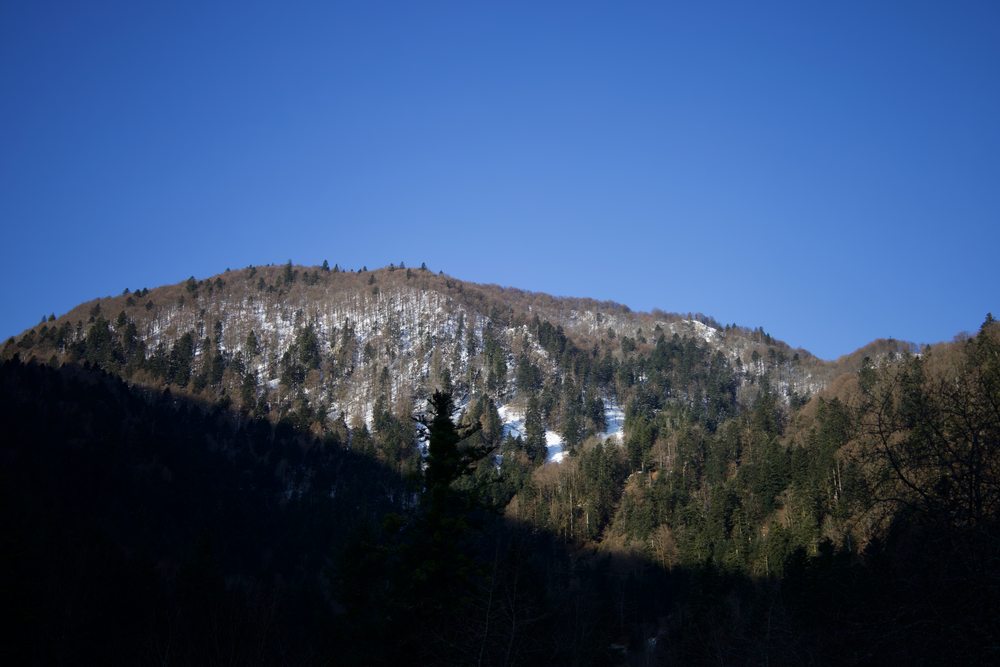Dark foreground trees frame a snow-speckled wooded hill beneath a clear blue sky.